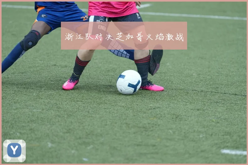 浙江队对决芝加哥火焰激战