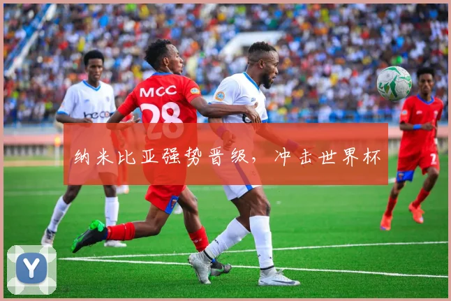 纳米比亚强势晋级，冲击世界杯