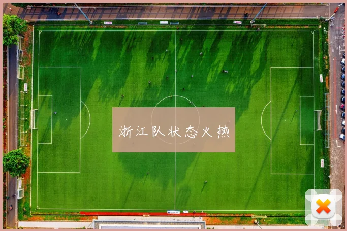 浙江队状态火热
