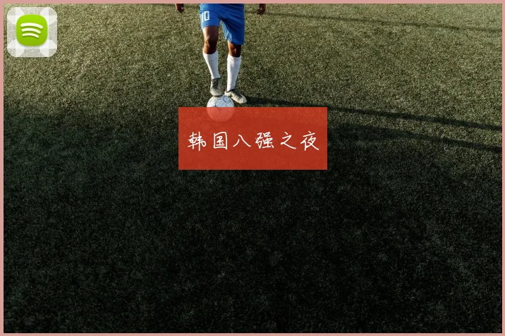 韩国八强之夜