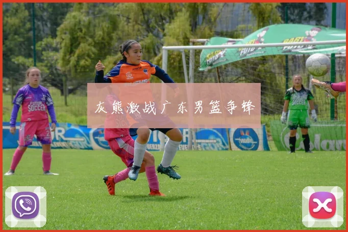 灰熊激战广东男篮争锋