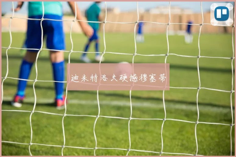 迪米特洛夫硬撼穆塞蒂