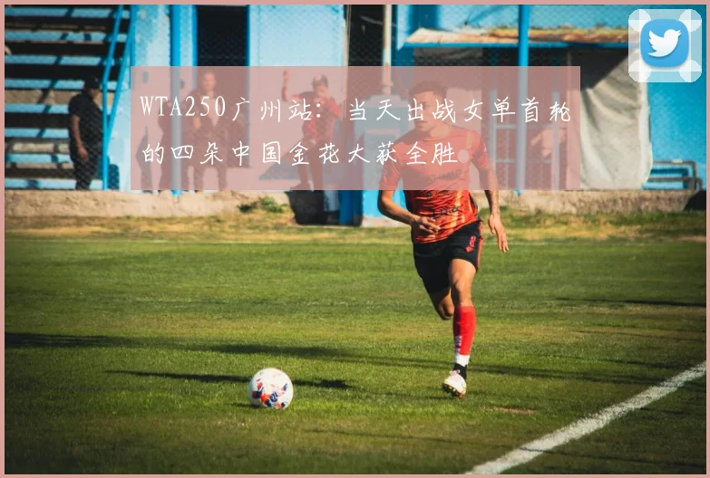 WTA250广州站：当天出战女单首轮的四朵中国金花大获全胜