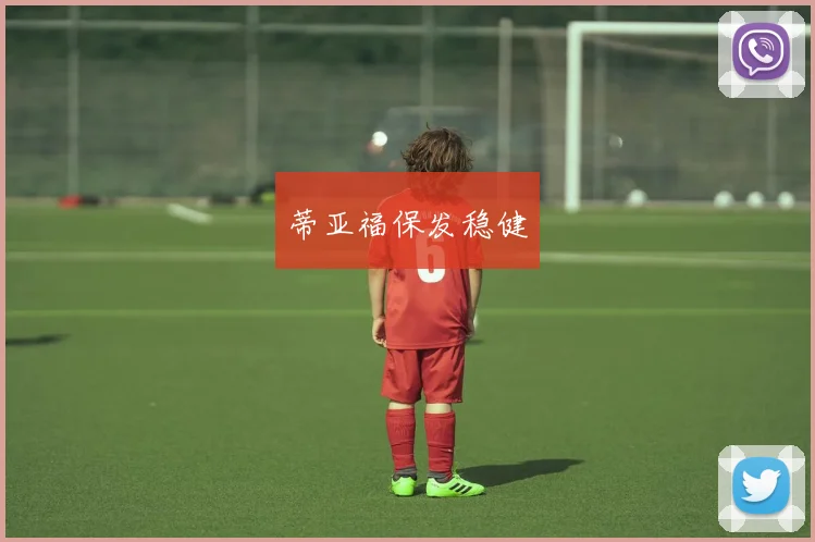 蒂亚福保发稳健