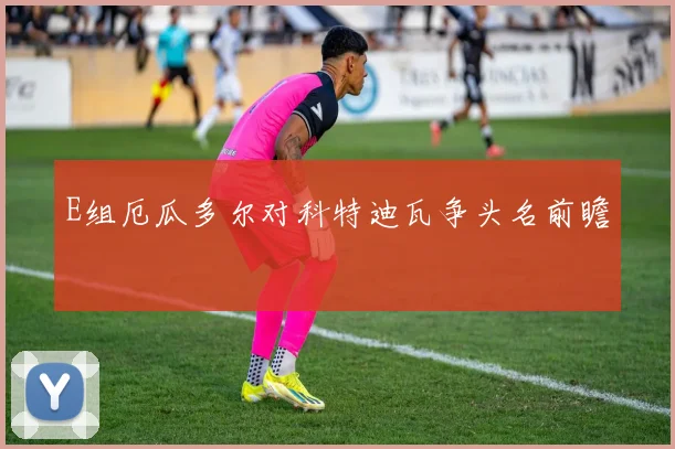 E组厄瓜多尔对科特迪瓦争头名前瞻