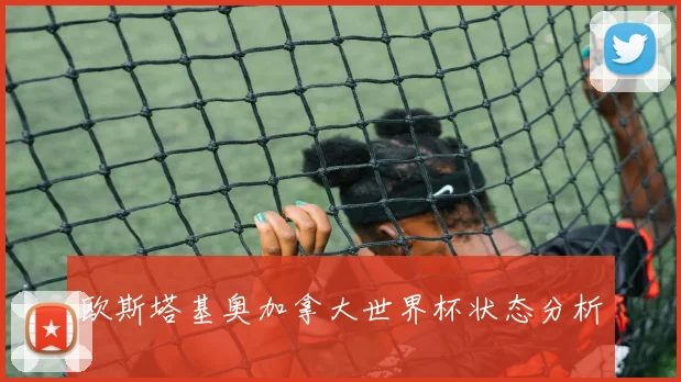 欧斯塔基奥加拿大世界杯状态分析