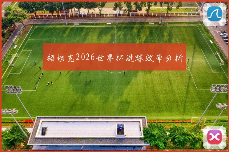 绍切克2026世界杯进球效率分析
