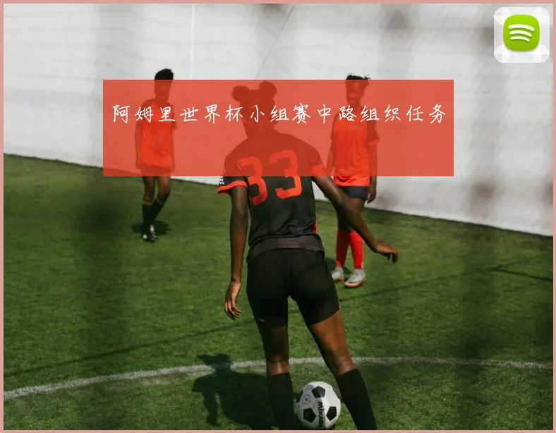 阿姆里世界杯小组赛中路组织任务