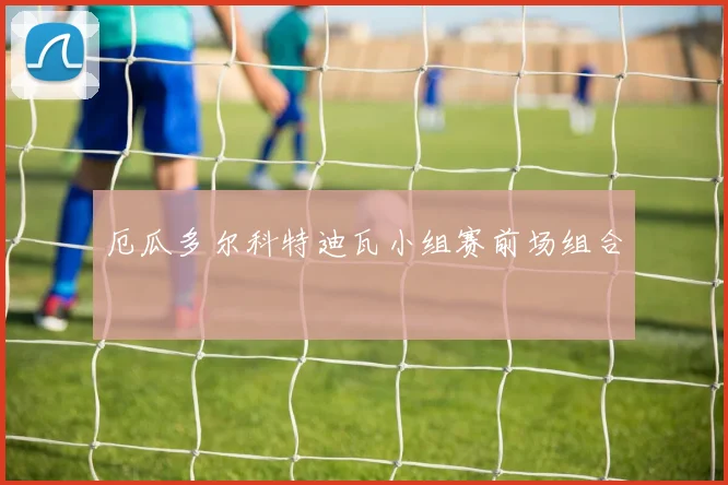 厄瓜多尔科特迪瓦小组赛前场组合