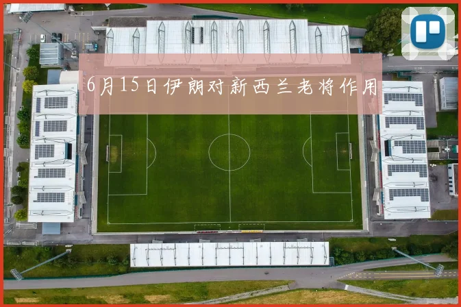 6月15日伊朗对新西兰老将作用