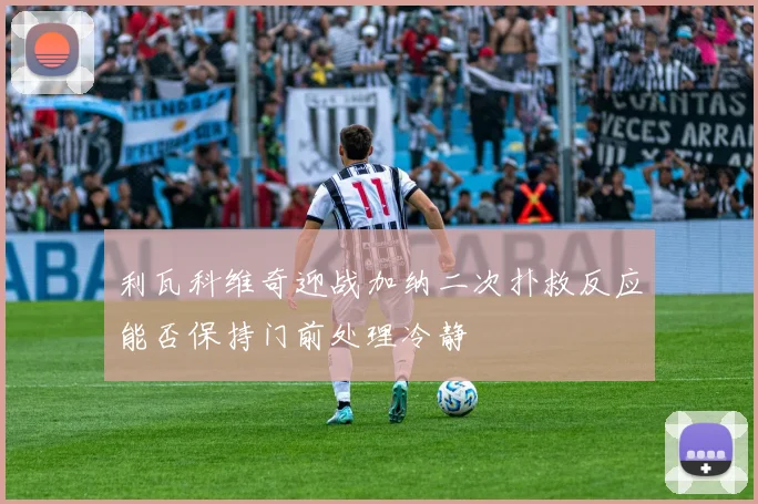 利瓦科维奇迎战加纳二次扑救反应能否保持门前处理冷静