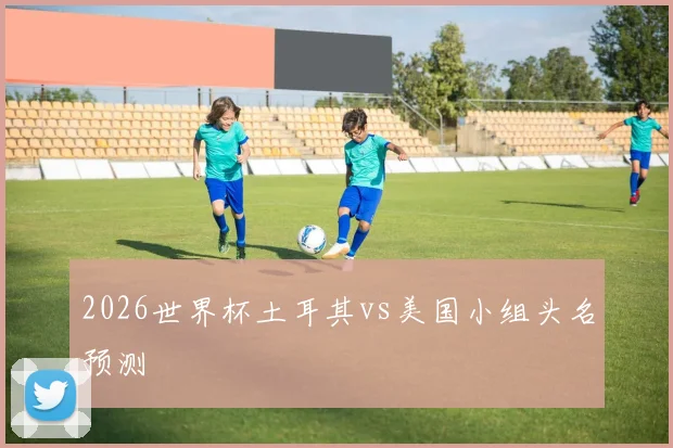 2026世界杯土耳其vs美国小组头名预测